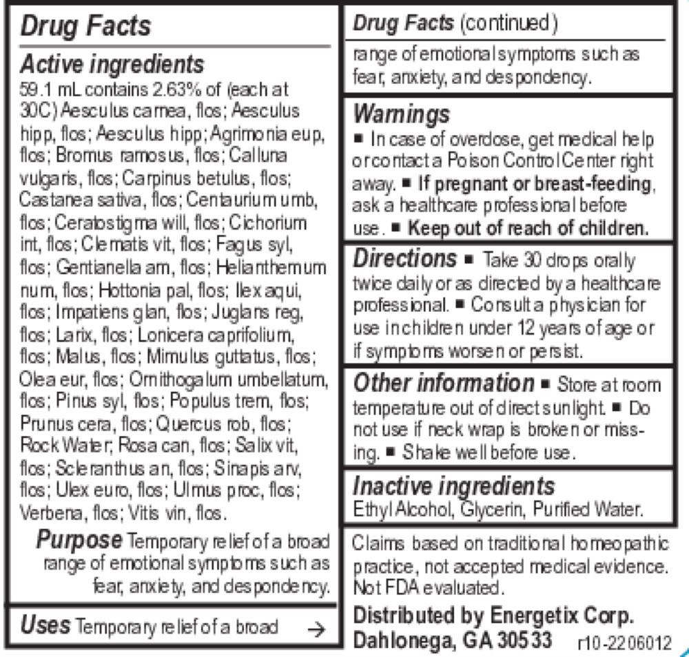 Field of Flowers 37 flower essence formula by Energetix