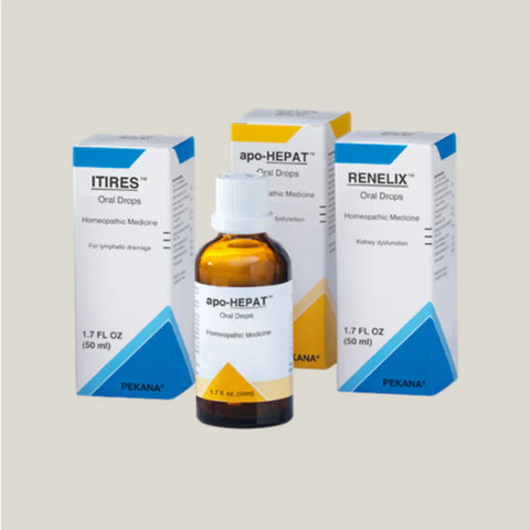 Basic Detox Kit (Pekana)