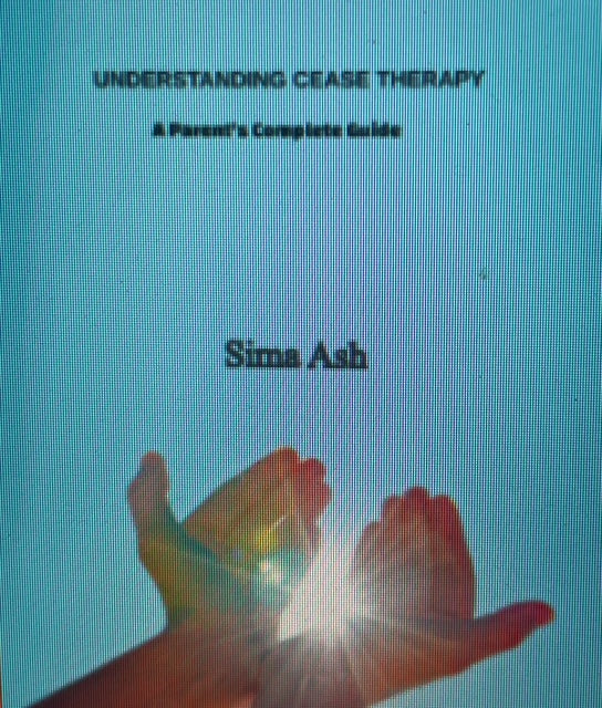 Understanding CEASE Therapy guide book cover - parent's complete guide to autism and developmental support