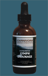 Homeopathic Lymph Drainage (Carnivora)